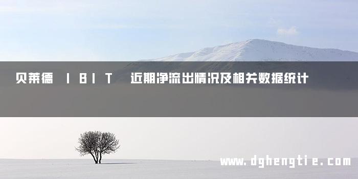 贝莱德 IBIT 近期净流出情况及相关数据统计